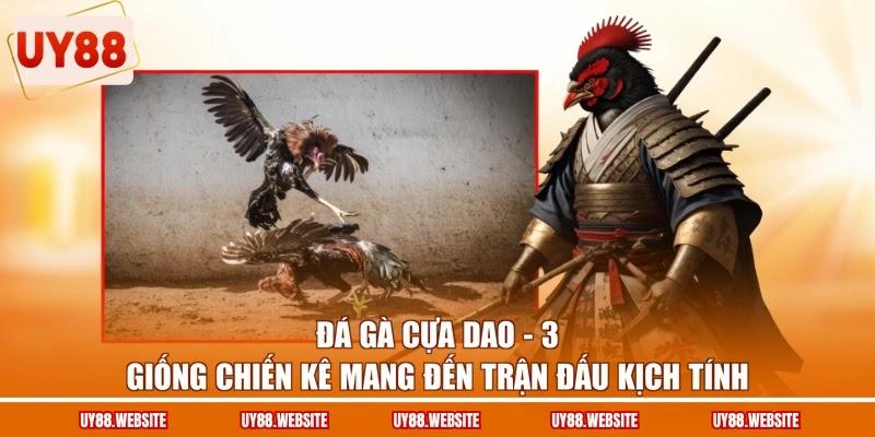 Đá Gà Cựa Dao - 3 Giống Chiến Kê Mang Đến Trận Đấu Kịch Tính 1 Đá Gà Cựa Dao - 3 Giống Chiến Kê Mang Đến Trận Đấu Kịch Tính