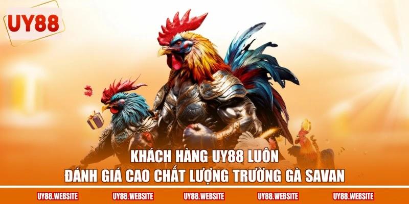 Khách hàng UY88 luôn đánh giá cao chất lượng trường gà Savan