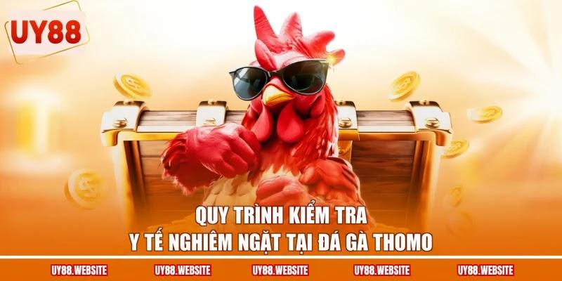 Quy trình kiểm tra y tế nghiêm ngặt tại đá gà Thomo